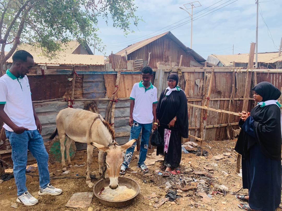 Working Animal Support - Afmadow