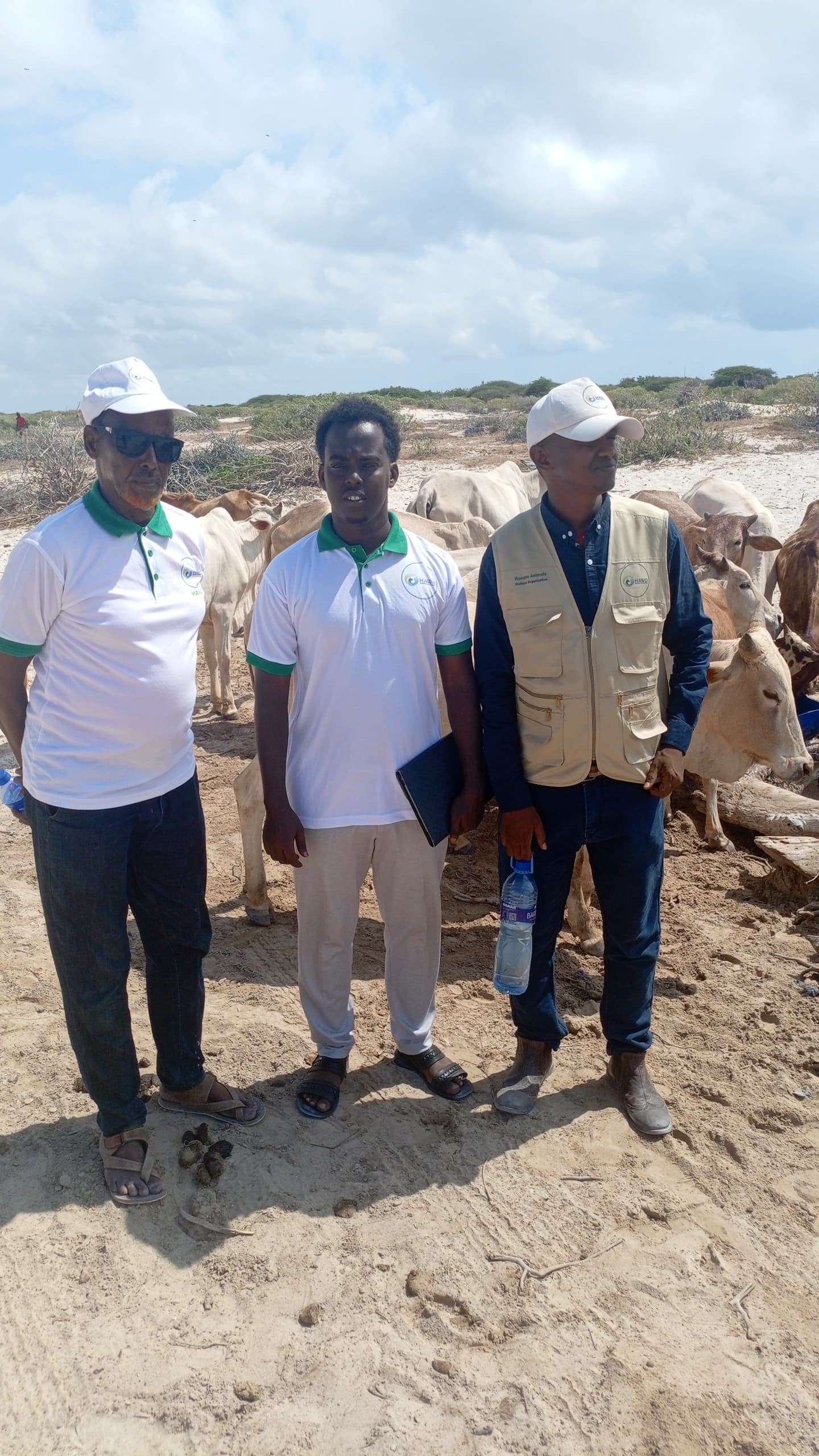 Livestock Care & Welfare - HAWO Program