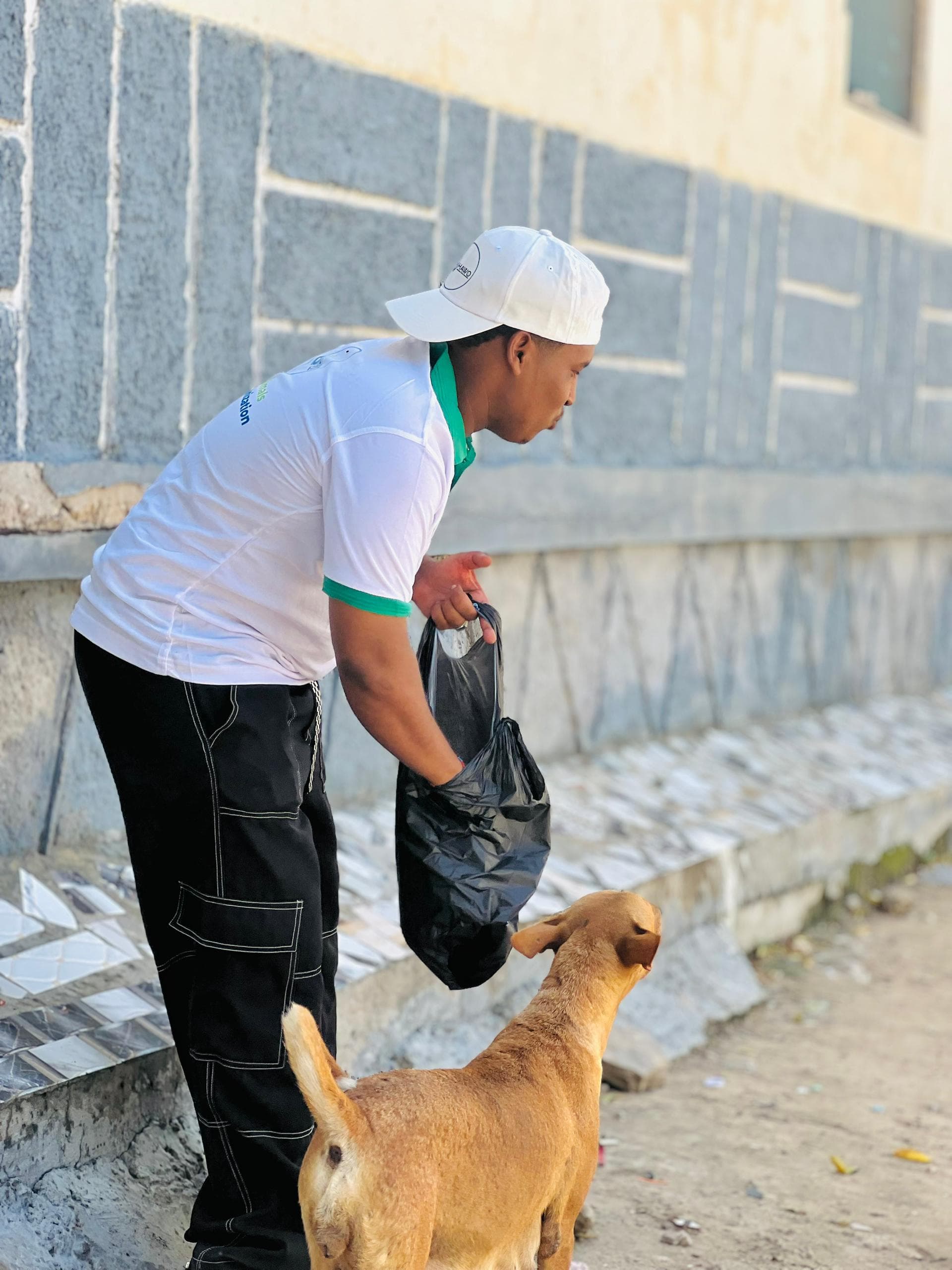 Rescue team feeding street dogs