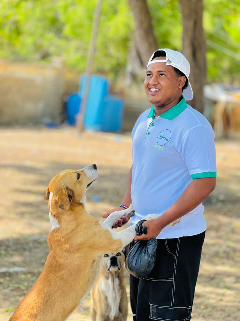 Feeding rescued street dogs