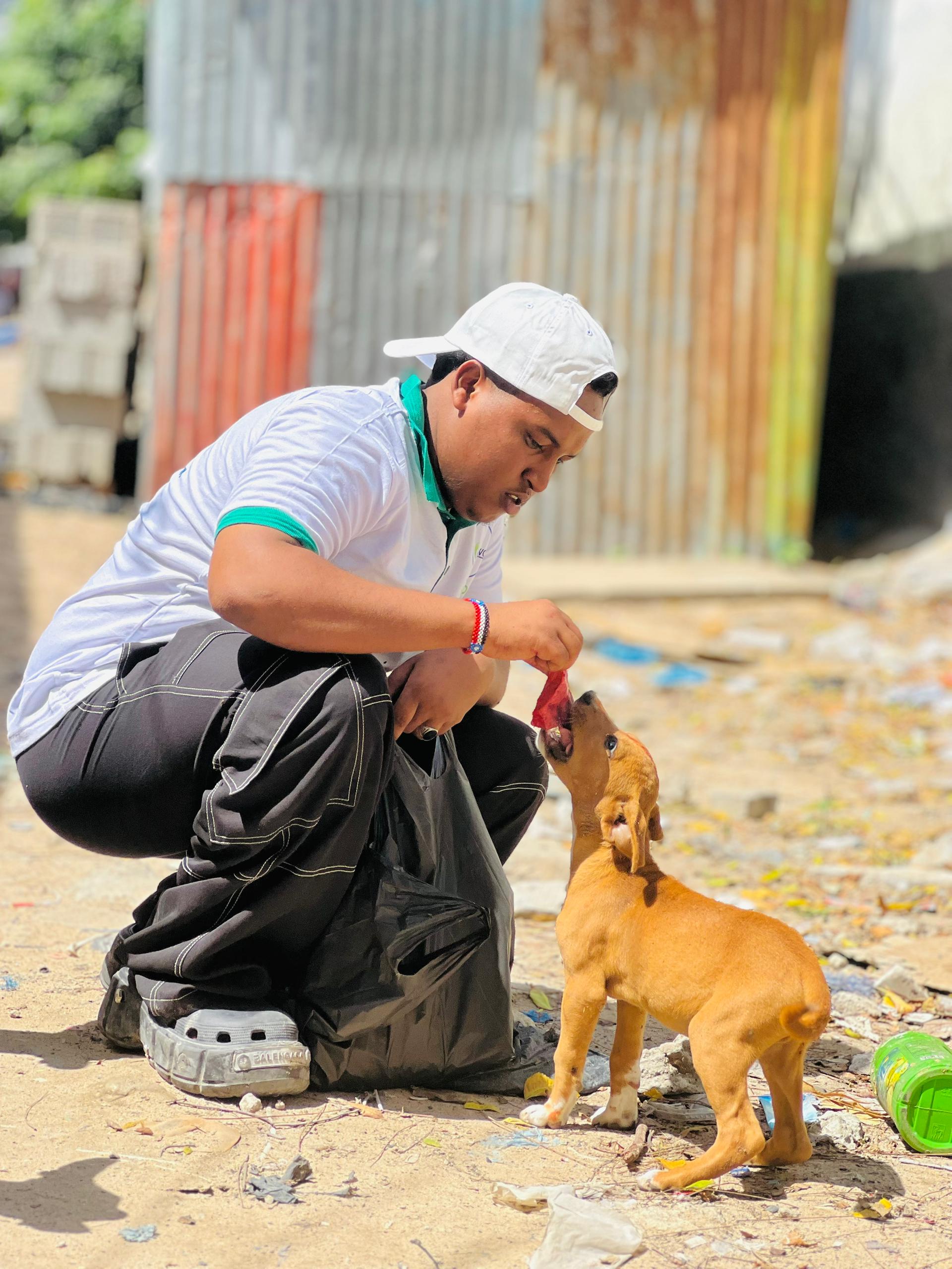 Community Street Dog Care