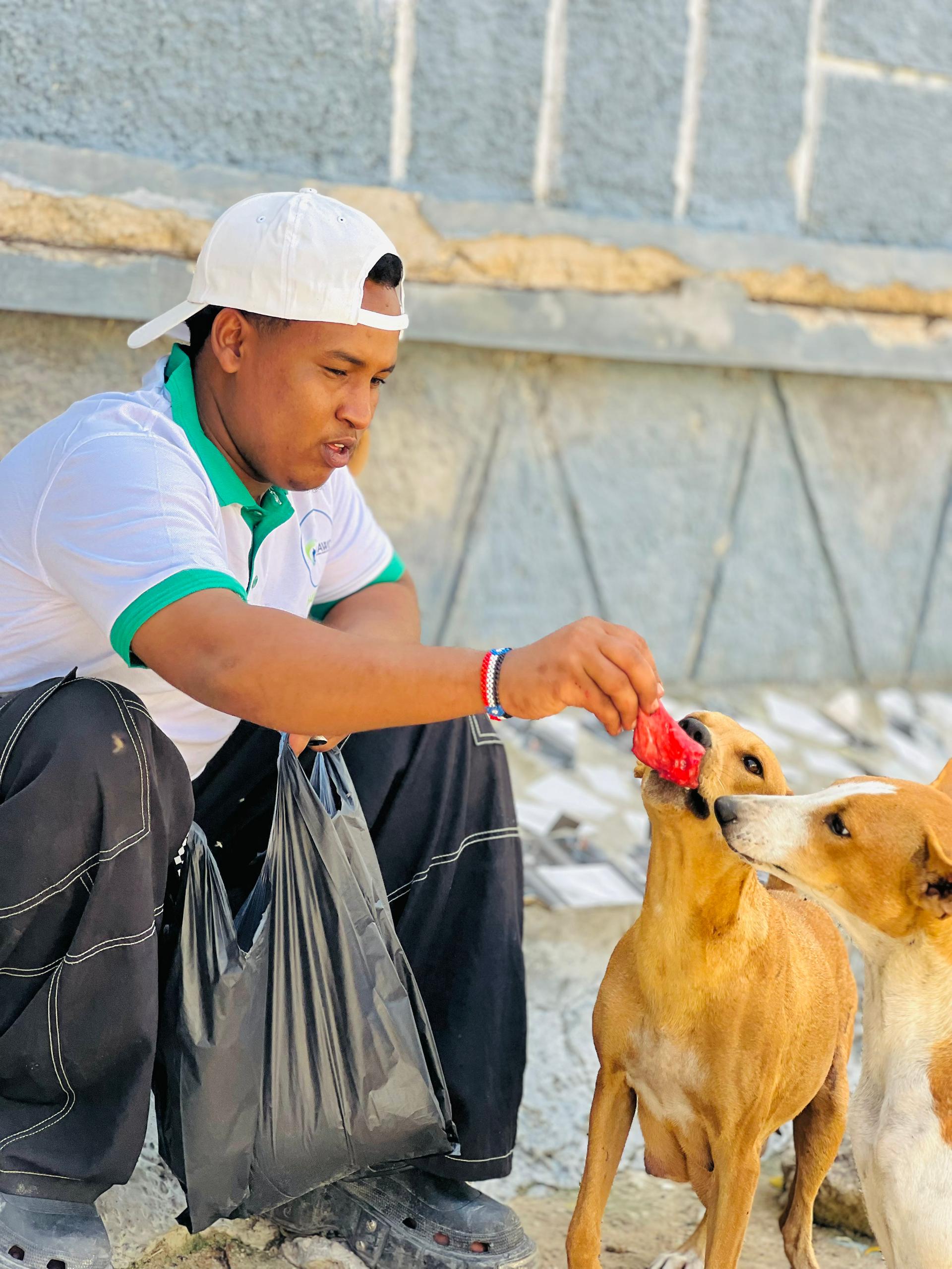 Building Trust with Street Dogs