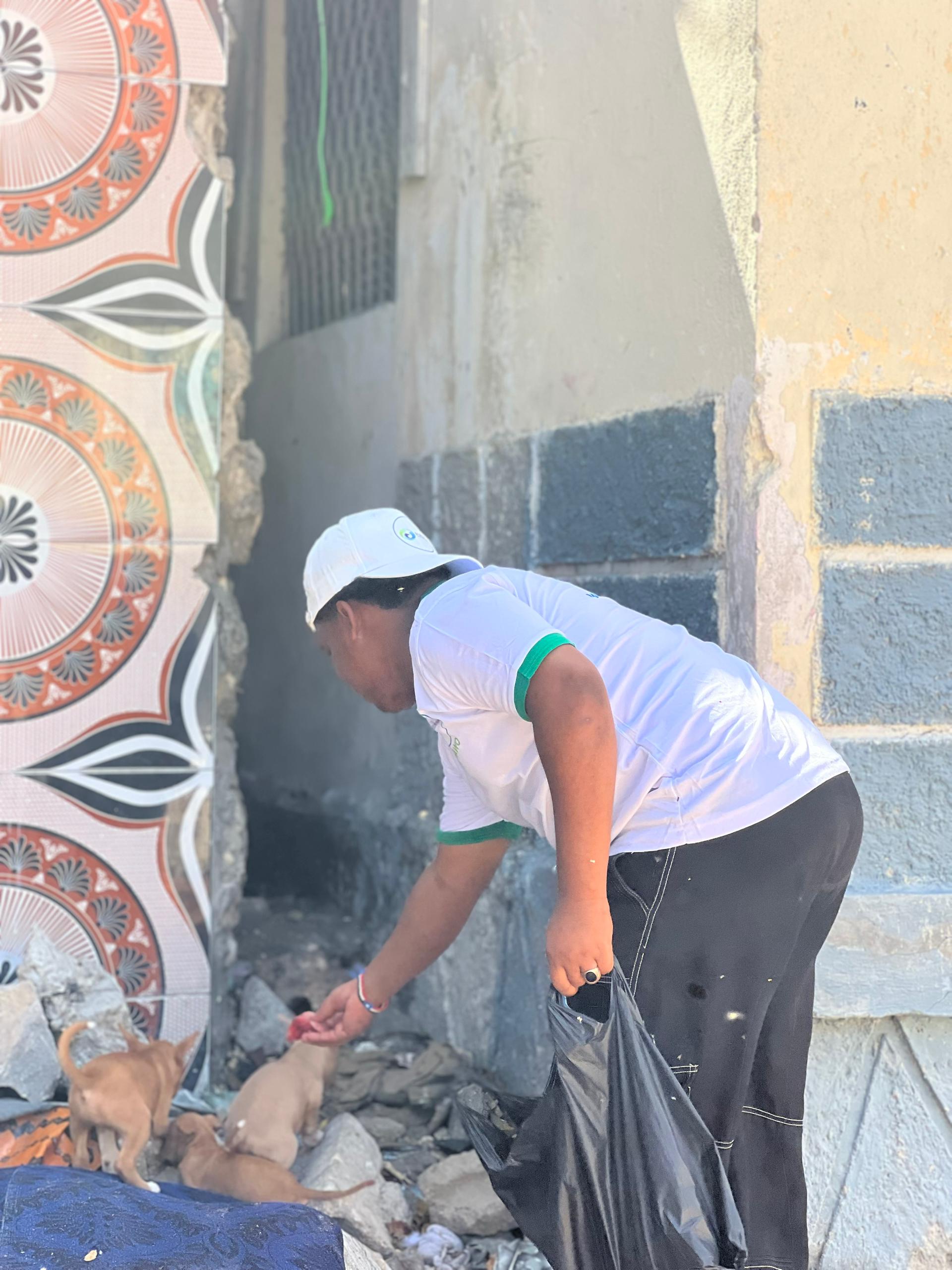 Reaching Dogs in Need