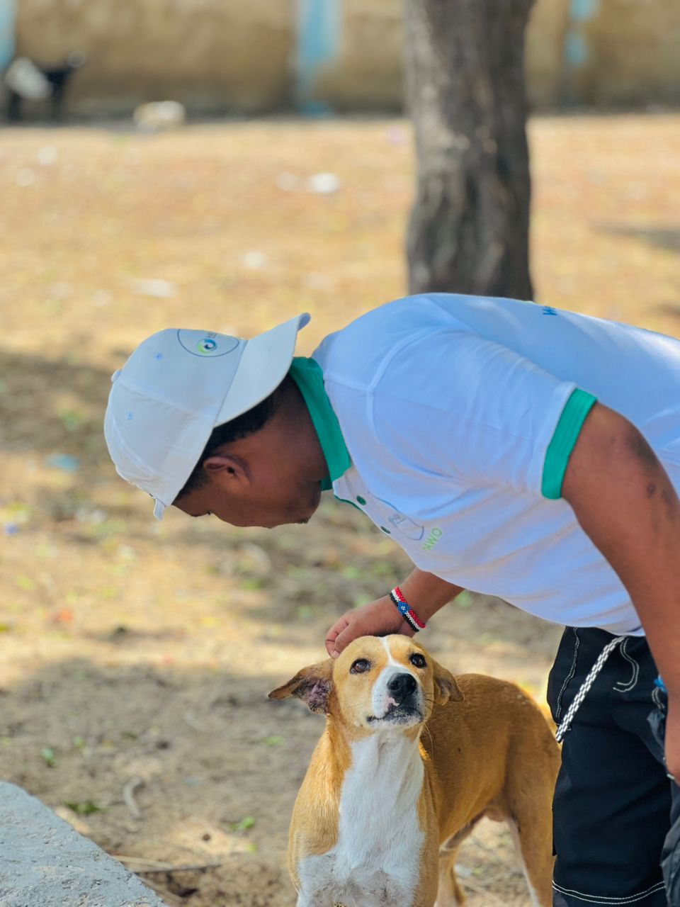 Gentle Care and Attention